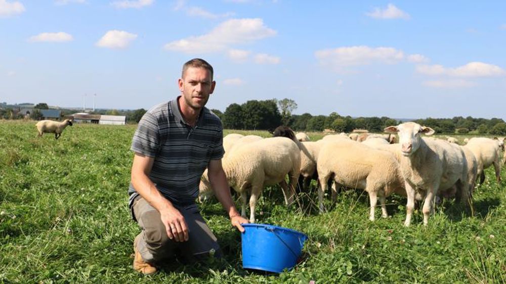 « Mes brebis sortent au pâturage d’avril  à novembre », explique Cédric Bougeard. © I. Lejas